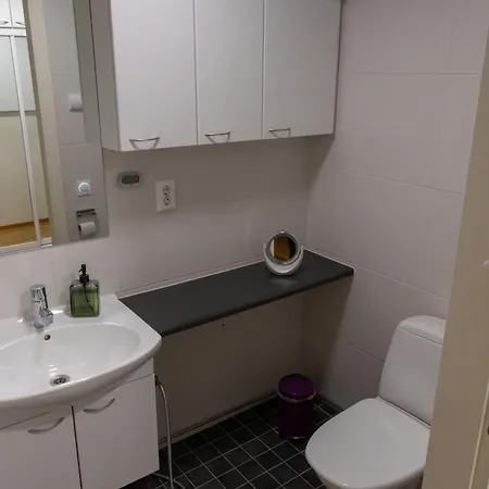 Apartament Luxury With Sauna, Grill And Garage Tampere