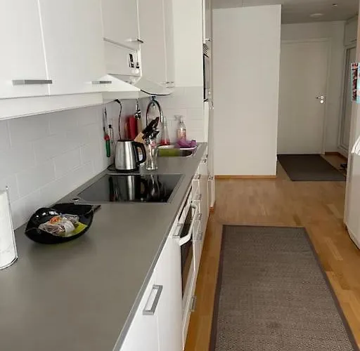 Luxury With Sauna, Grill And Garage Appartement Tampere