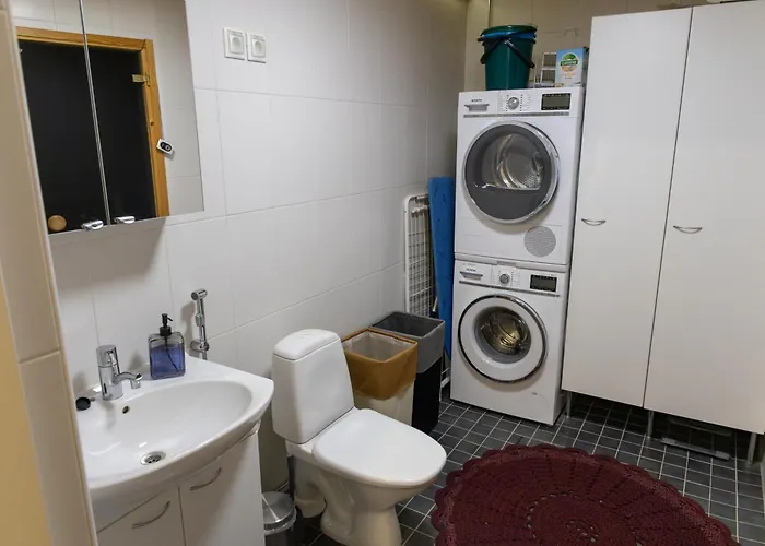 Luxury With Sauna, Grill And Garage Tampere